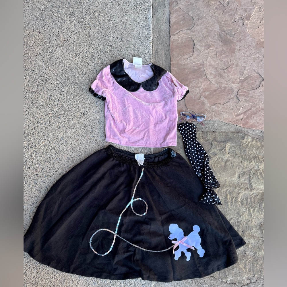 Women’s 50’s Poodle Skirt Costume Set - Pink and Black